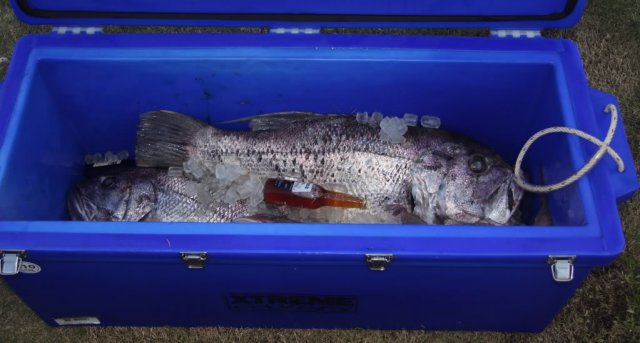 The winning pic The winning pic